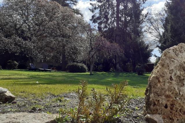 Les Appartements Fenelon Le Cateau-Cambresis Exteriör bild