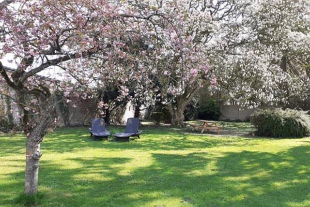 Les Appartements Fenelon Le Cateau-Cambresis Exteriör bild
